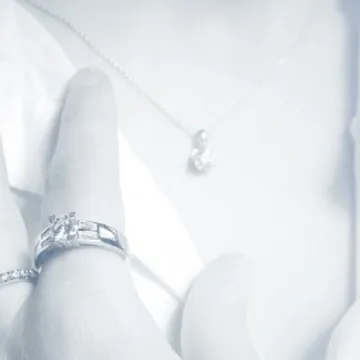 plateforme web Wegelin Frères