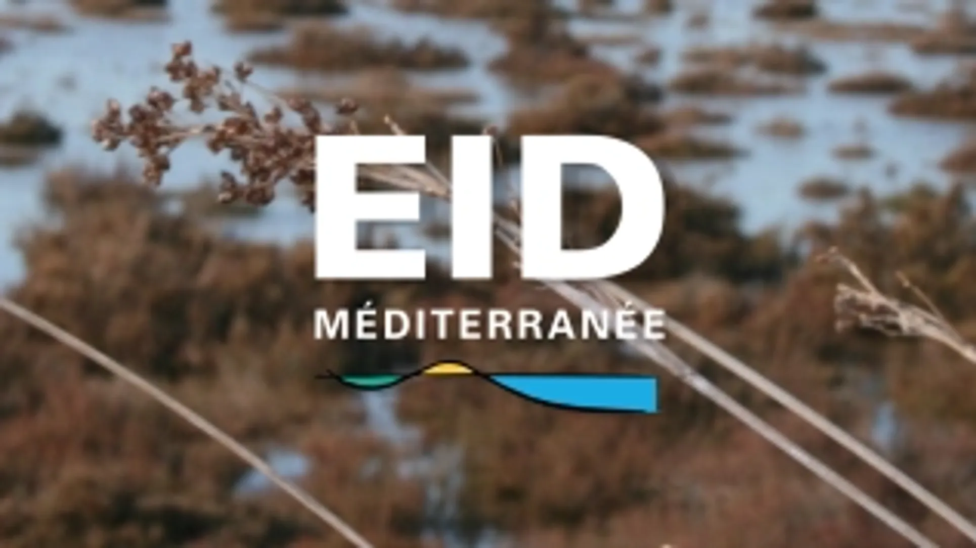Image au format desktop de l'EID
