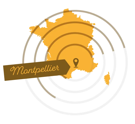 L'équipe Triotech à Montpellier