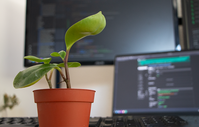 Jeune plante en pot devant un écran d'ordinateur affichant du code, symbolisant la croissance et l'évolution d'un logiciel sur mesure.